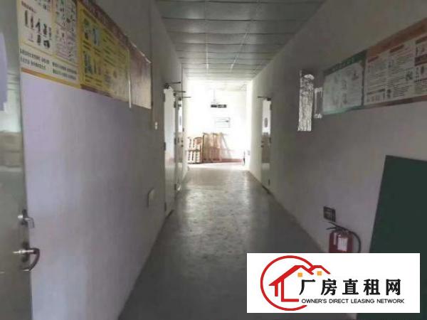  观澜轻轨站边新出楼上700平方，豪华装修，无需转让费，月底空