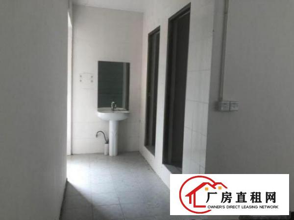  观澜新田主干道旁漂亮厂房仓库！看中的老板随时联系