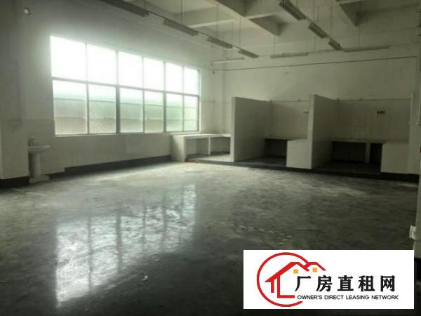  观澜新田主干道旁漂亮厂房仓库！看中的老板随时联系