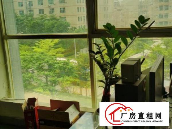  村委厂房，跟管理处签合同，可以分租
