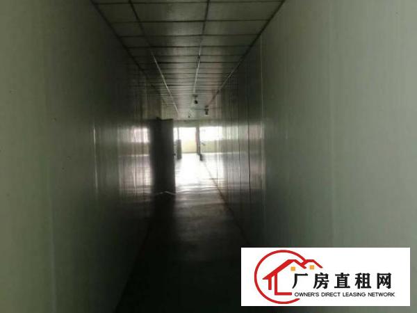  原房东厂房平价招租，无中介