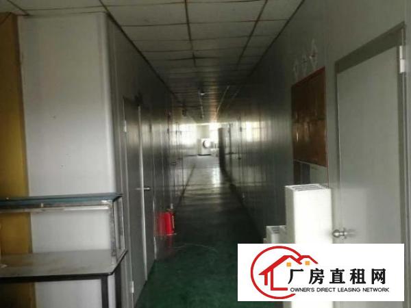  原房东厂房平价招租，无中介