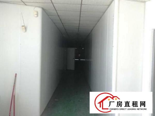 原房东厂房平价招租，无中介