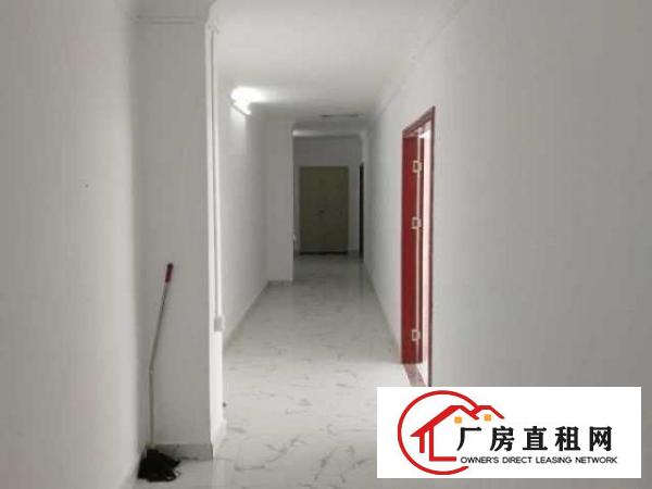  原房东厂房平价招租，无中介