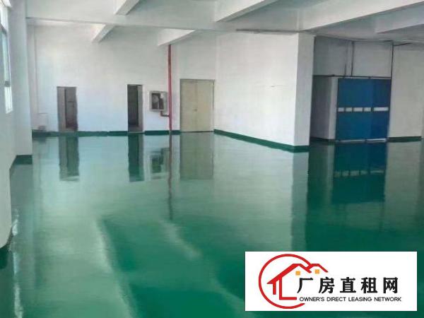  观澜新田主干道旁，交通方便，招工方便，园区形象好