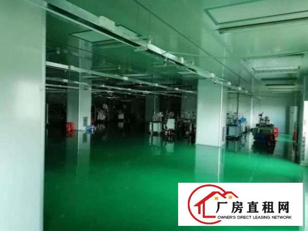  观澜新田主干道旁，交通方便，招工方便，园区形象好