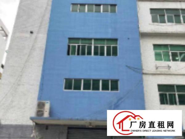  观澜茜坑老村一楼厂房出租