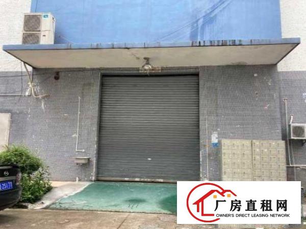 观澜茜坑老村一楼厂房出租
