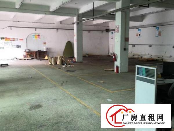  观澜新田一楼厂房出租