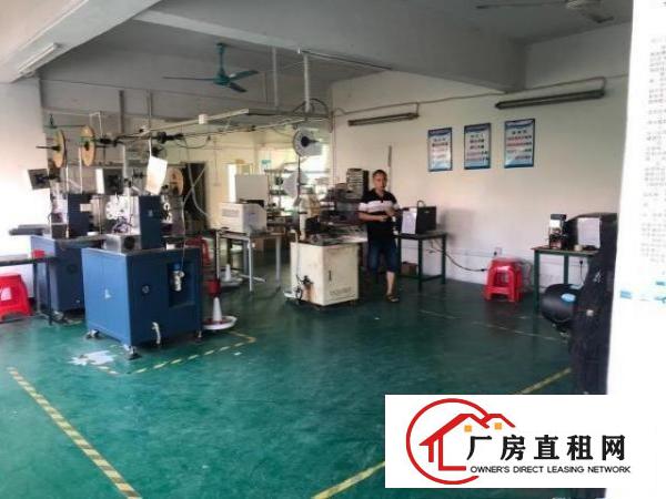  有的物业团队，原房东