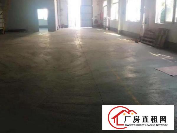  裕新路单一层钢结构厂房3900m²可分租
