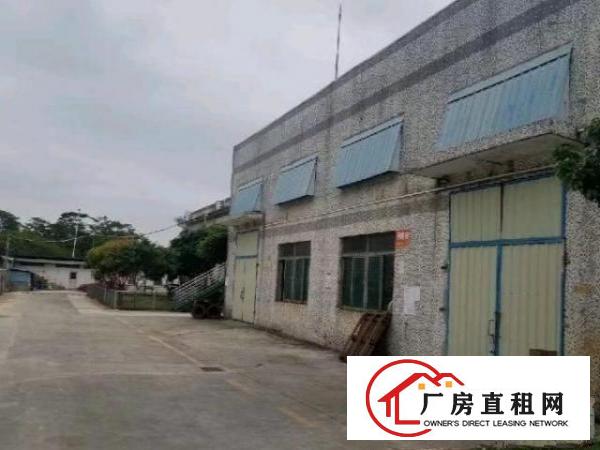  裕新路单一层钢结构厂房3900m²可分租
