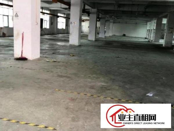  樟阁路3楼厂房850平米