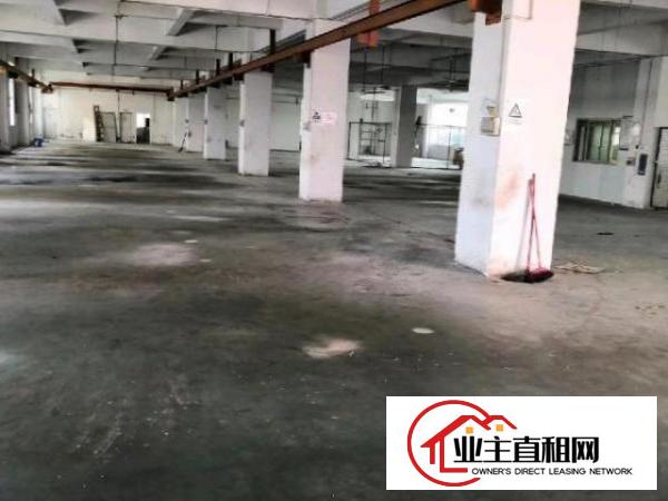  樟阁路3楼厂房850平米