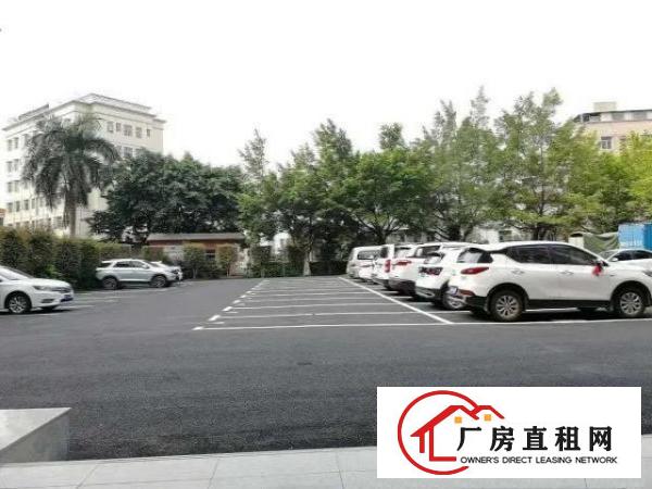  红本厂房，交通方便，标准工业厂房