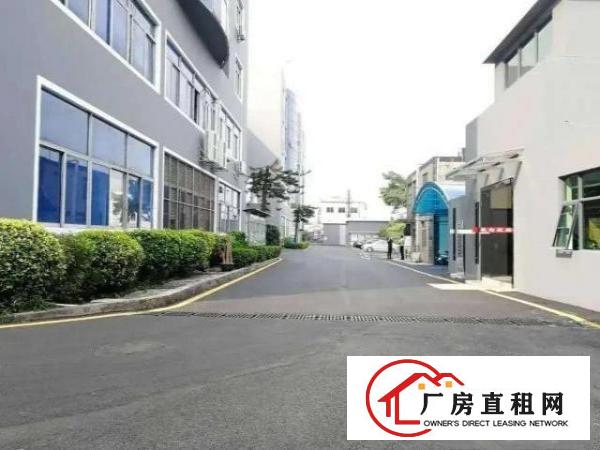  红本厂房，交通方便，标准工业厂房