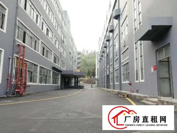  红本厂房，交通方便，标准工业厂房