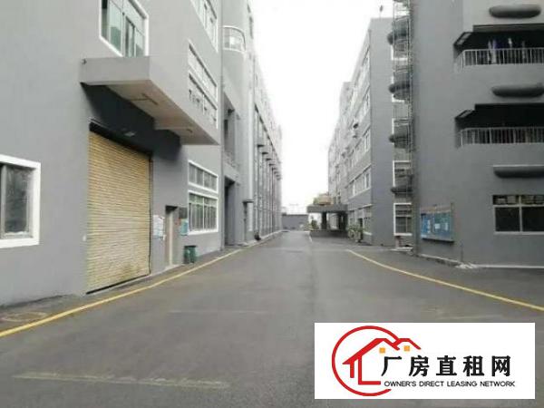  红本厂房，交通方便，标准工业厂房
