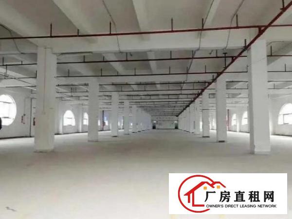  红本厂房，交通方便，标准工业厂房