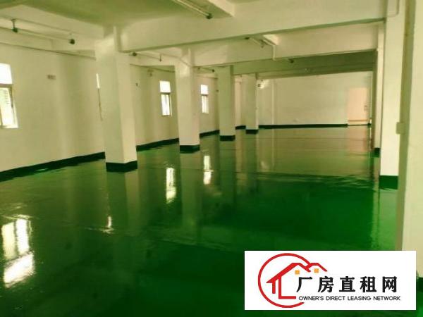  新田环观南路1楼厂房390平方