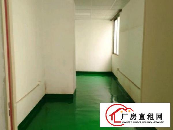  新田环观南路1楼厂房390平方