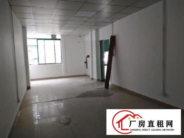  新田环观南路1楼厂房390平方