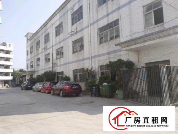  观澜大道吉盛酒店1楼厂房900平方