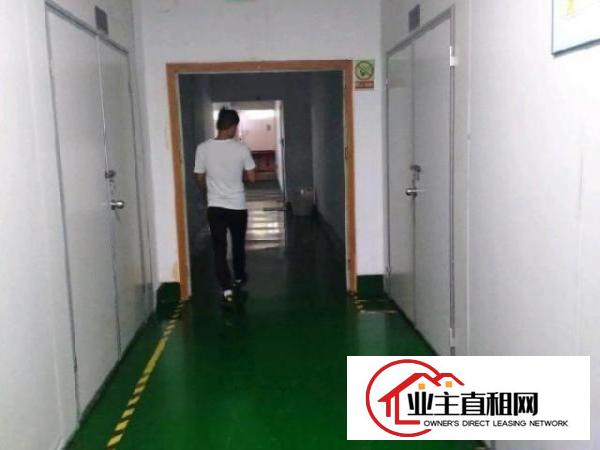  环观南路5楼厂房1000平方有无尘车间