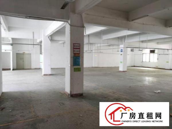 便宜出租龙华区观澜厂房
