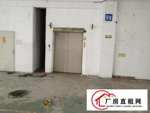  便宜出租龙华区观澜厂房