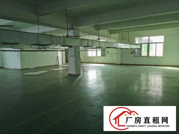  便宜出租龙华区观澜厂房