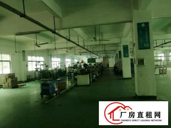  观澜带装修厂房830平米出租