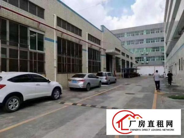  带红本观澜牛湖单一层独院钢构厂房出租1万平也可做物流仓库