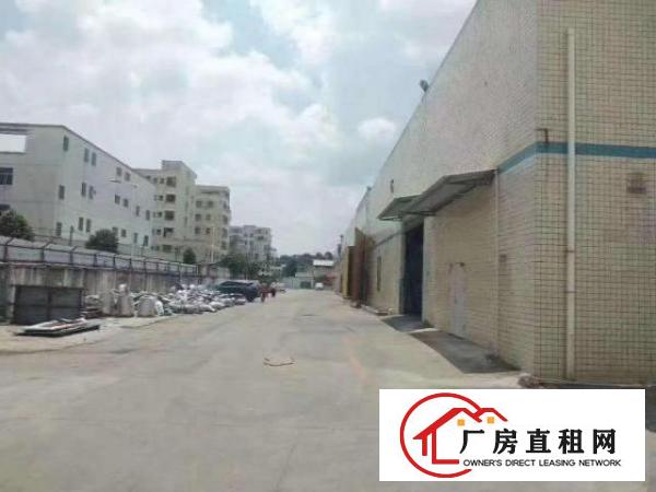  带红本观澜牛湖单一层独院钢构厂房出租1万平也可做物流仓库