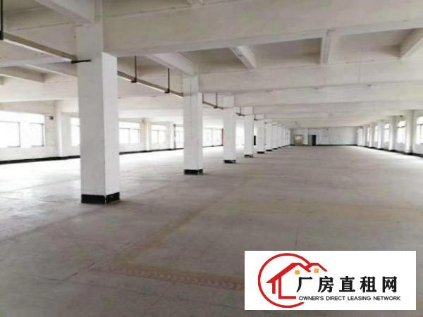  观兰新田独门独院厂房出租35000平米，可分栋出租