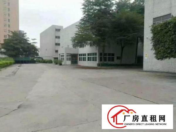  观兰新田独门独院厂房出租35000平米，可分栋出租