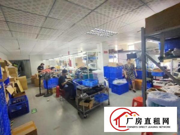  观澜福民龙观快线边园区，花园式厂房楼上550平