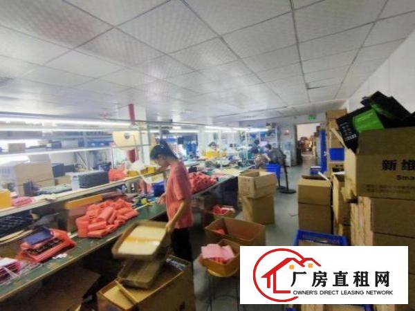  观澜福民龙观快线边园区，花园式厂房楼上550平