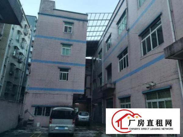  观澜街道君子布社区，独门独院厂房