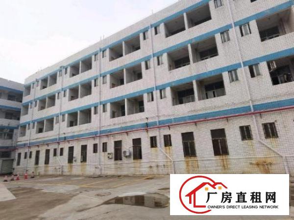 三间大厂房可以做冷库快递物流