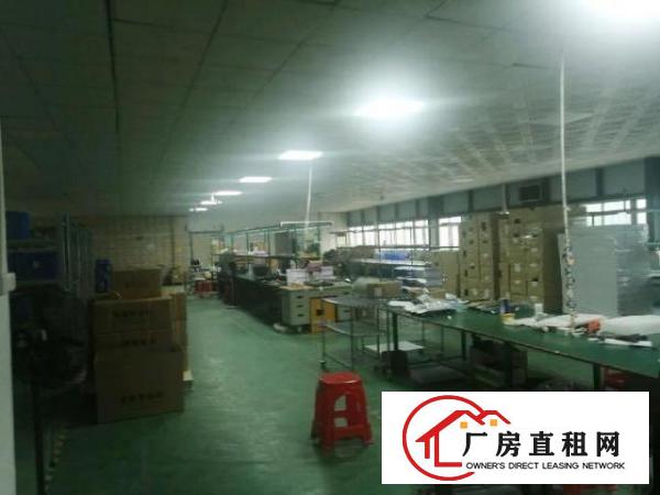  观澜1100平米带装修厂房出租