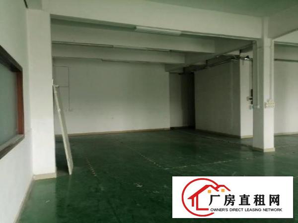  观澜1100平米带装修厂房出租