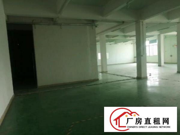  观澜1100平米带装修厂房出租