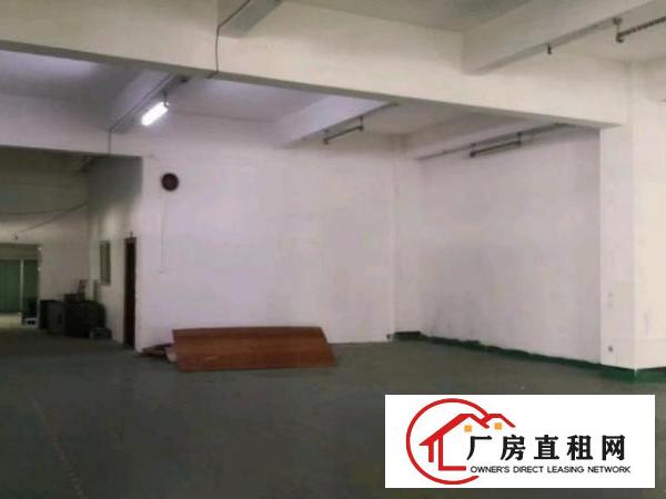  观平路建材市场附近1楼厂房2460平方出租