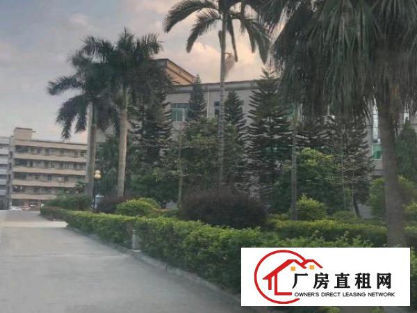  真实:库坑二楼1900平方有装修