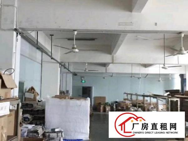  观澜轻轨站4楼一层面积1250平米租金24元