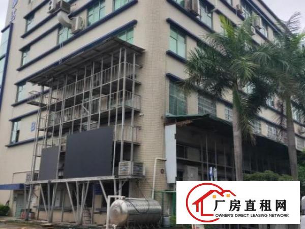  观澜高新区红本厂房楼上三楼整层2500平可分