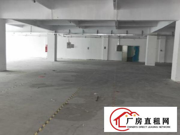  观澜高新区红本厂房楼上三楼整层2500平可分
