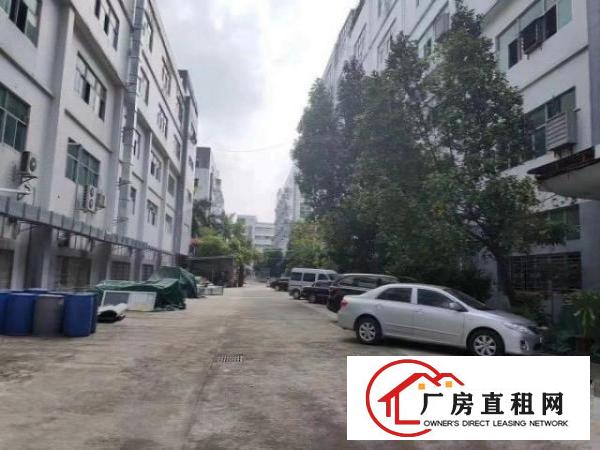  福民龙观快线楼上新出精装修600平