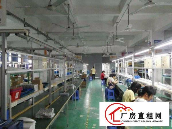  龙华大型产业园精装厂房出租价格实惠面积实用可进大车